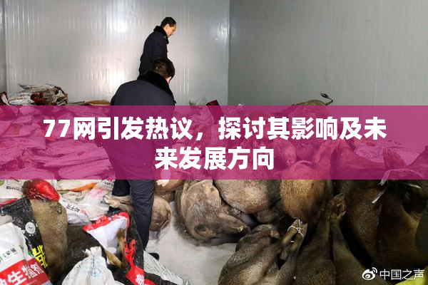 77网引发热议，探讨其影响及未来发展方向