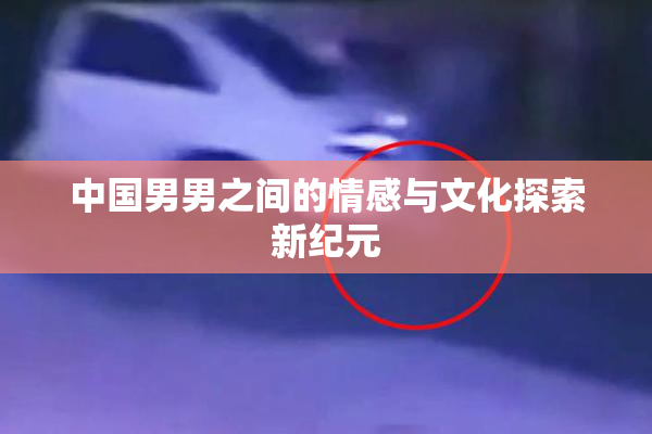 中国男男之间的情感与文化探索新纪元