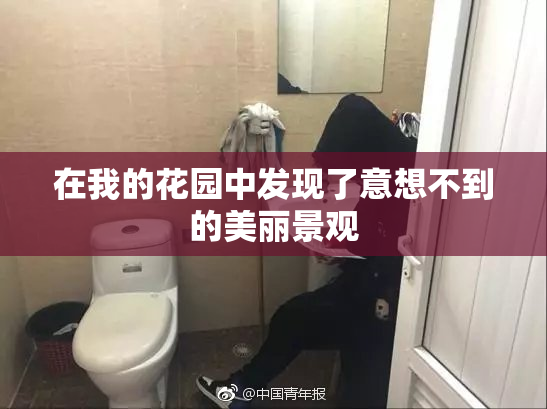 在我的花园中发现了意想不到的美丽景观