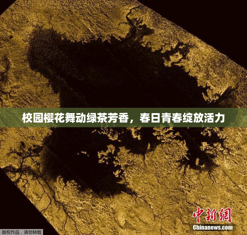 校园樱花舞动绿茶芳香，春日青春绽放活力