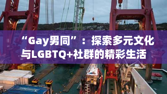 “Gay男同”：探索多元文化与LGBTQ+社群的精彩生活
