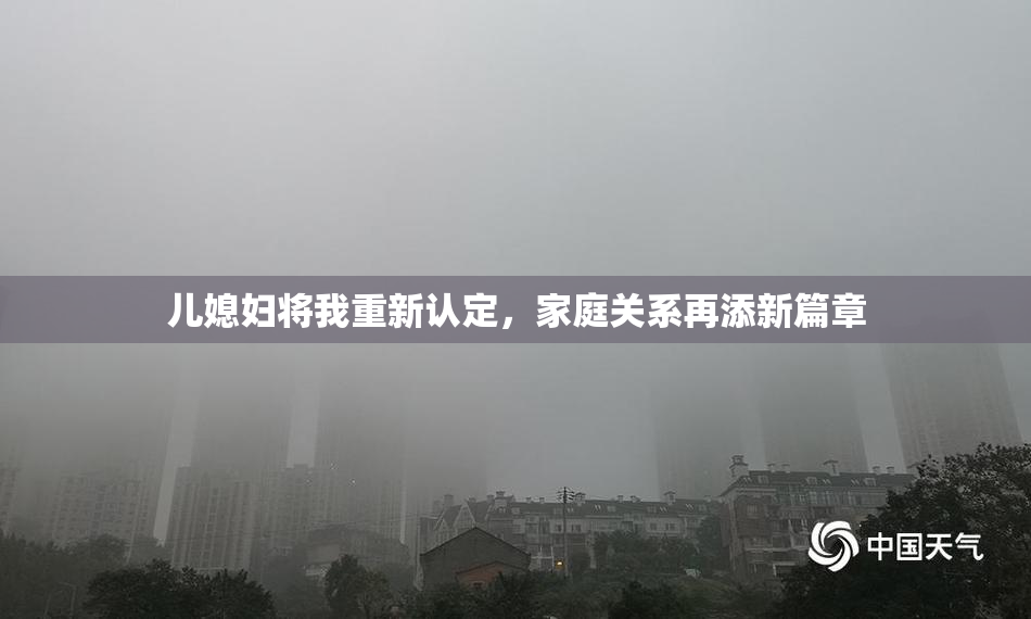 儿媳妇将我重新认定，家庭关系再添新篇章