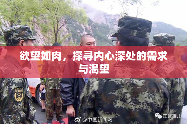 欲望如肉，探寻内心深处的需求与渴望