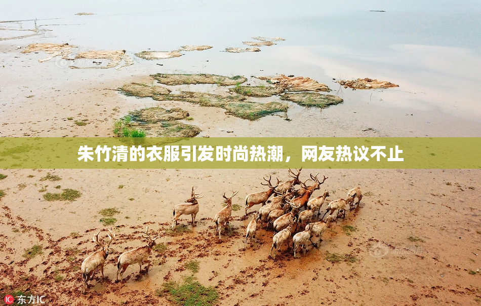 朱竹清的衣服引发时尚热潮，网友热议不止