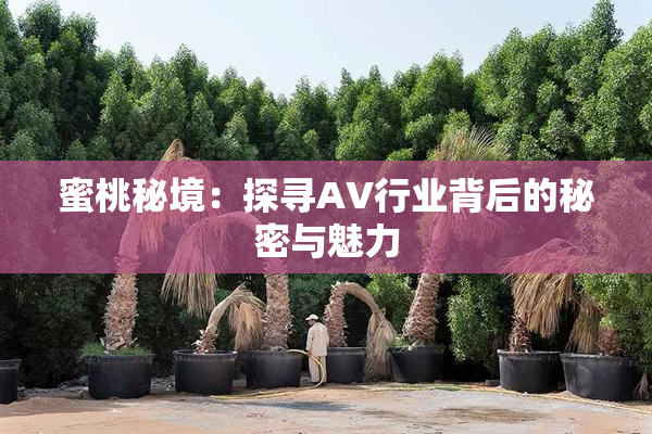 蜜桃秘境：探寻AV行业背后的秘密与魅力