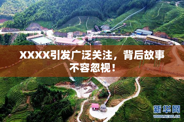 XXXX引发广泛关注，背后故事不容忽视！