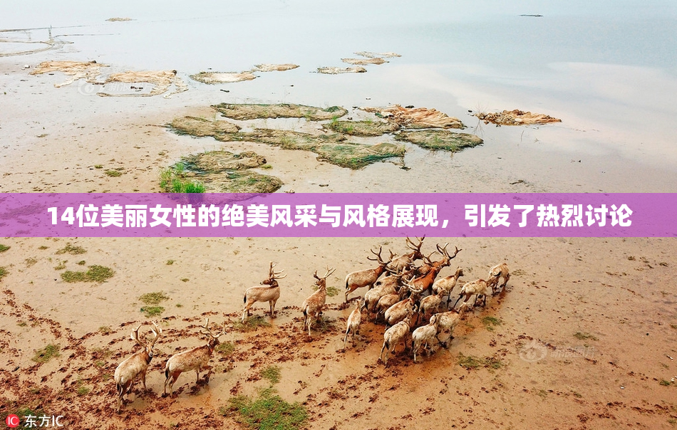 14位美丽女性的绝美风采与风格展现，引发了热烈讨论