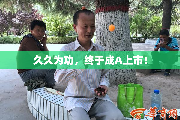 久久为功，终于成A上市！