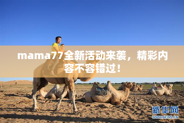 mama77全新活动来袭，精彩内容不容错过！