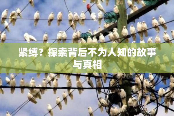 紧缚？探索背后不为人知的故事与真相