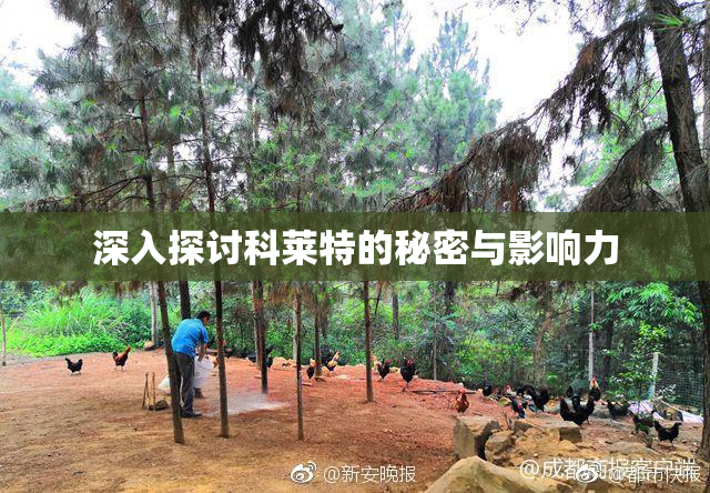 深入探讨科莱特的秘密与影响力