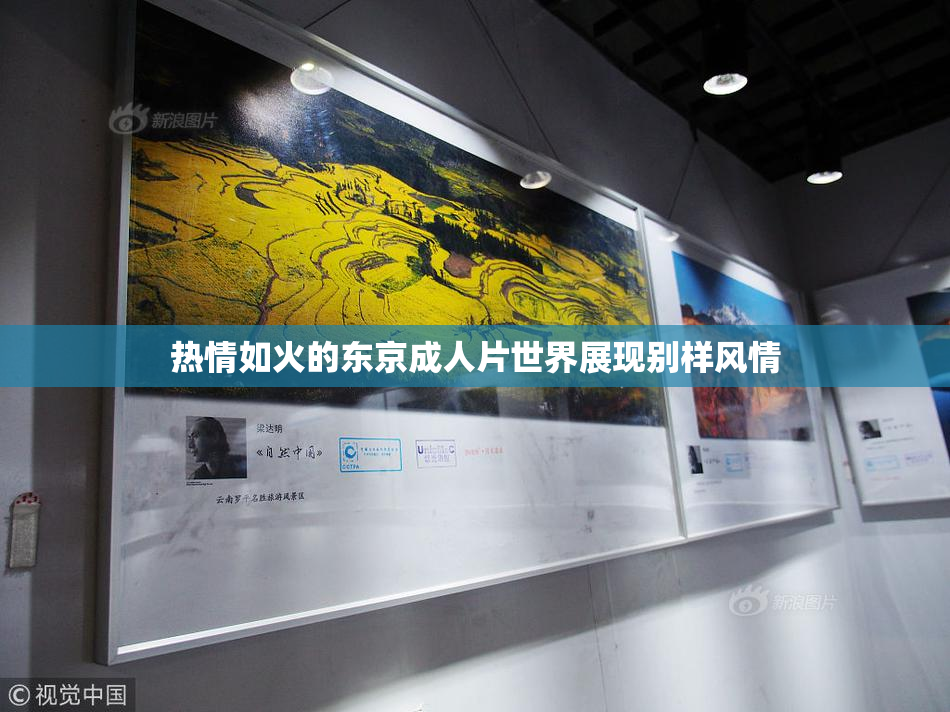 热情如火的东京成人片世界展现别样风情