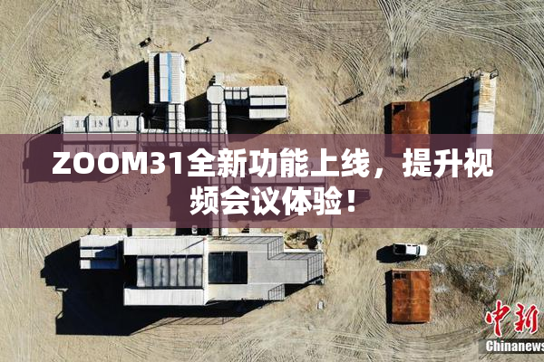 ZOOM31全新功能上线，提升视频会议体验！