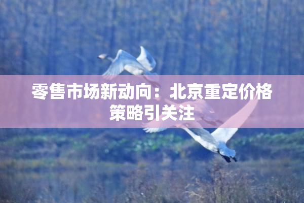 零售市场新动向：北京重定价格策略引关注
