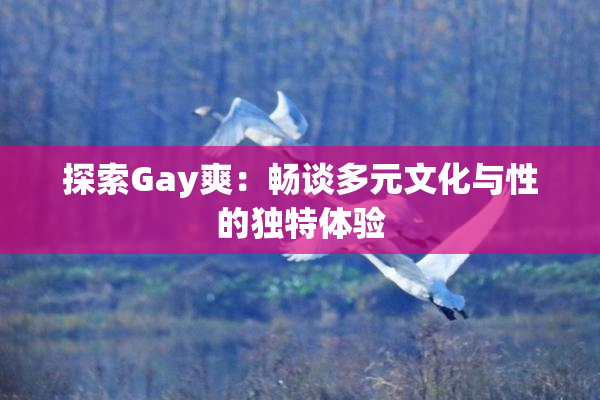 探索Gay爽：畅谈多元文化与性的独特体验