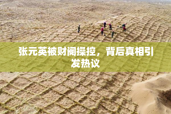 张元英被财阀操控，背后真相引发热议