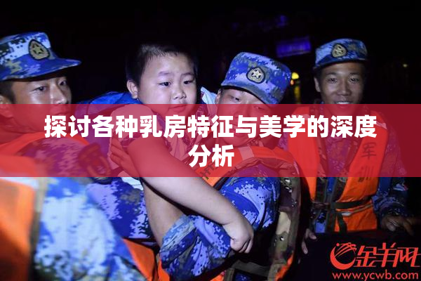 探讨各种乳房特征与美学的深度分析