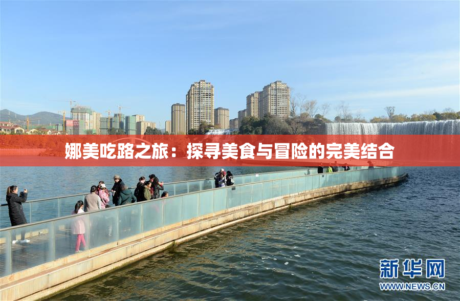 娜美吃路之旅：探寻美食与冒险的完美结合