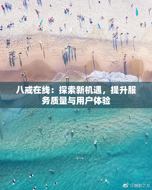 八戒在线：探索新机遇，提升服务质量与用户体验