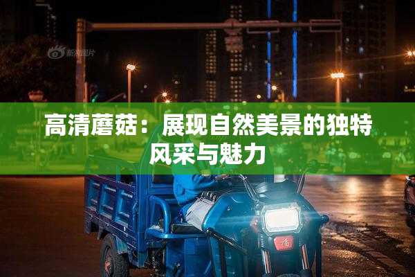 高清蘑菇：展现自然美景的独特风采与魅力