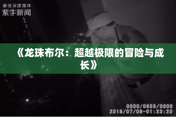 《龙珠布尔：超越极限的冒险与成长》