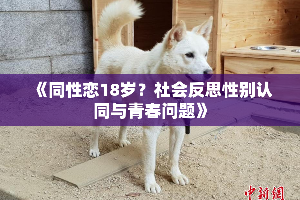 《同性恋18岁？社会反思性别认同与青春问题》