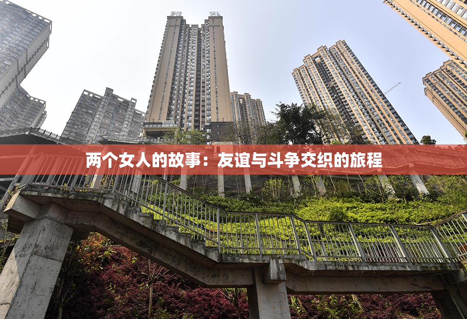 两个女人的故事：友谊与斗争交织的旅程