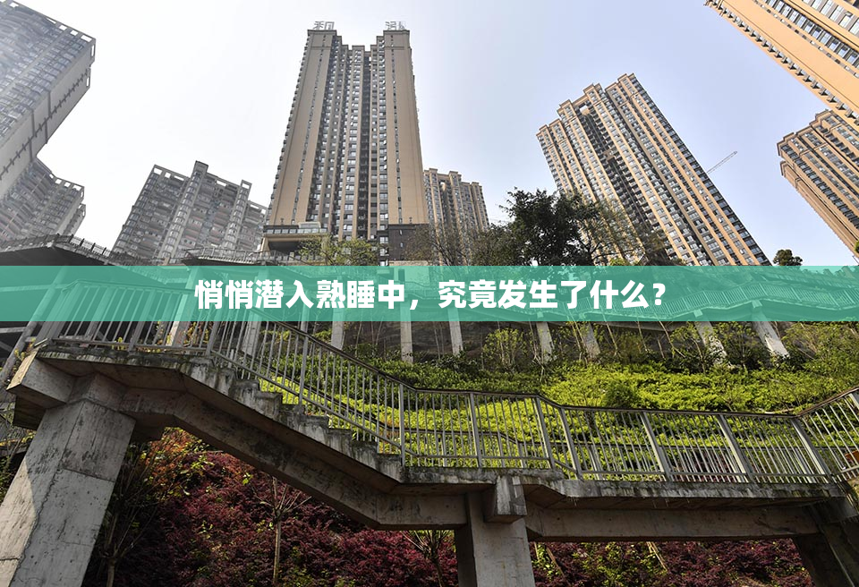 悄悄潜入熟睡中，究竟发生了什么？