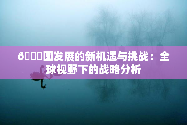 🔞国发展的新机遇与挑战：全球视野下的战略分析
