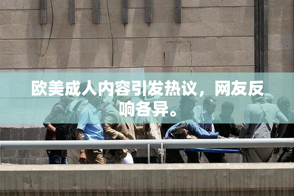 欧美成人内容引发热议，网友反响各异。