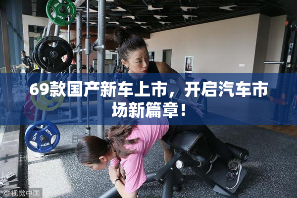 69款国产新车上市，开启汽车市场新篇章！