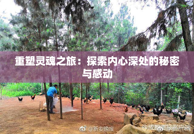 重塑灵魂之旅：探索内心深处的秘密与感动