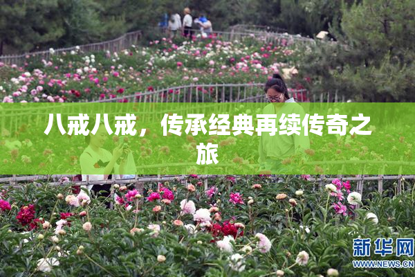 八戒八戒，传承经典再续传奇之旅