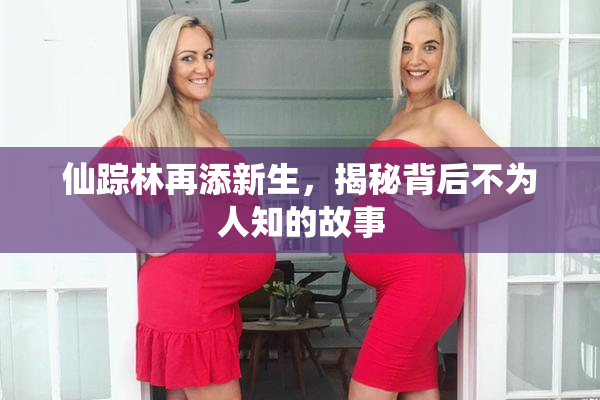 仙踪林再添新生，揭秘背后不为人知的故事
