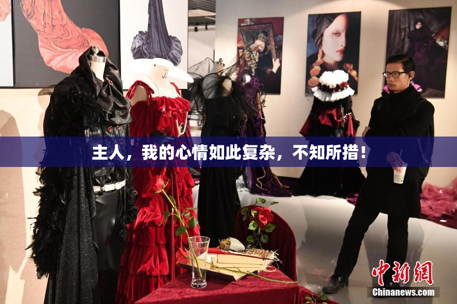 主人，我的心情如此复杂，不知所措！