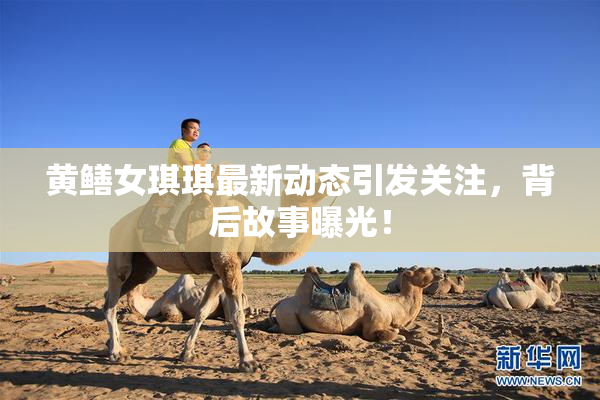 黄鳝女琪琪最新动态引发关注，背后故事曝光！