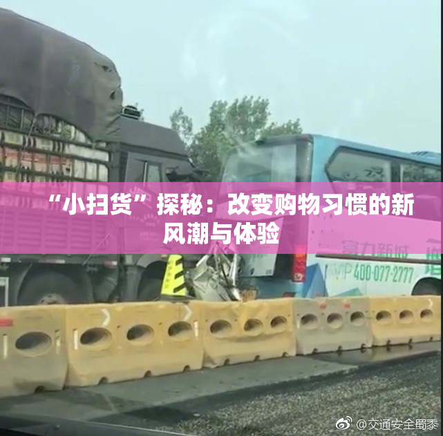 “小扫货”探秘：改变购物习惯的新风潮与体验