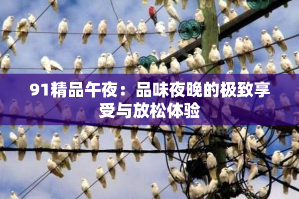 91精品午夜：品味夜晚的极致享受与放松体验