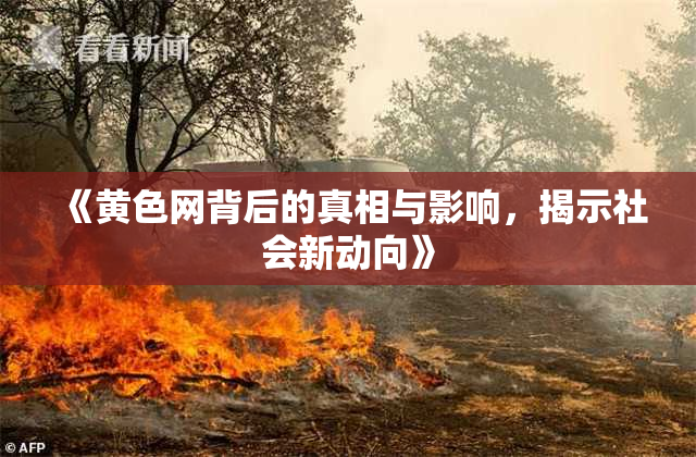 《黄色网背后的真相与影响，揭示社会新动向》