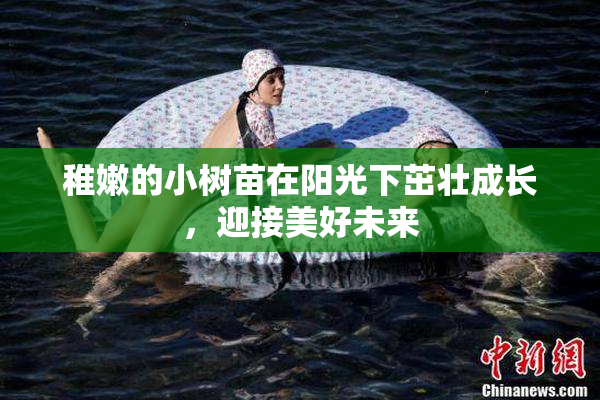 稚嫩的小树苗在阳光下茁壮成长，迎接美好未来