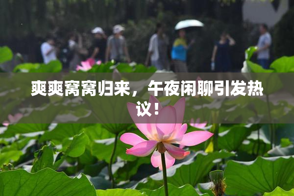 爽爽窝窝归来，午夜闲聊引发热议！