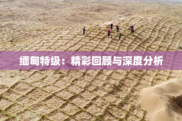 缅甸特级：精彩回顾与深度分析