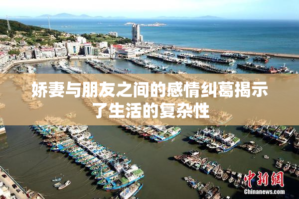 娇妻与朋友之间的感情纠葛揭示了生活的复杂性