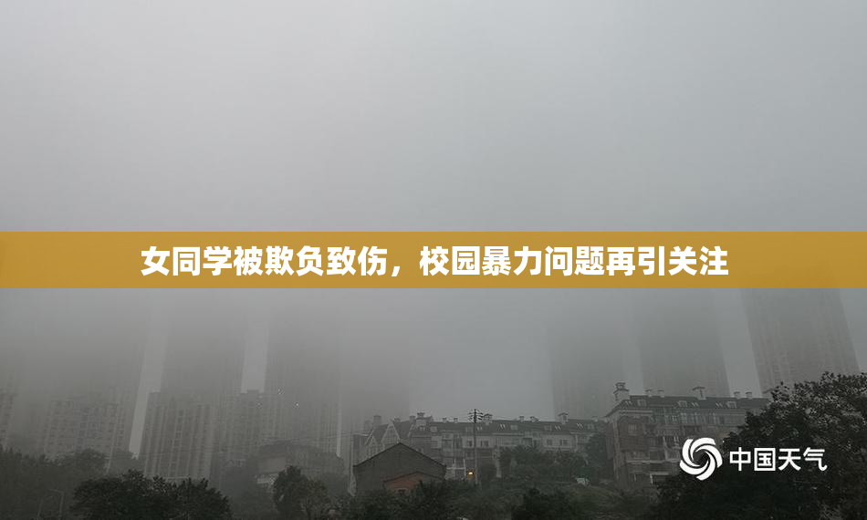 女同学被欺负致伤，校园暴力问题再引关注