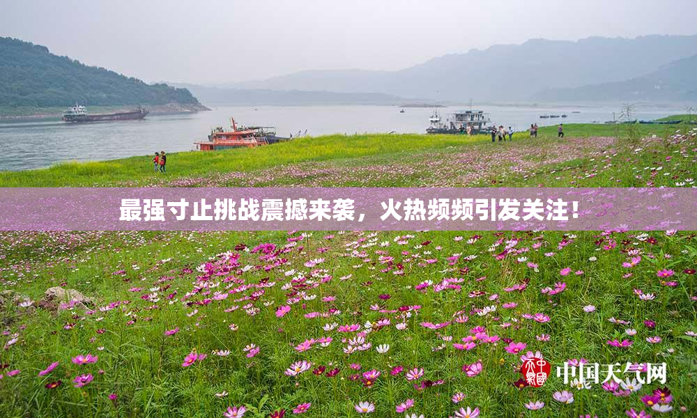 最强寸止挑战震撼来袭，火热频频引发关注！