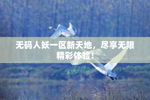 无码人妖一区新天地，尽享无限精彩体验！