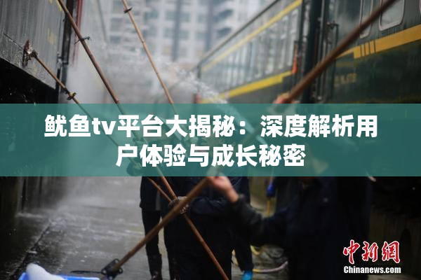 鱿鱼tv平台大揭秘：深度解析用户体验与成长秘密