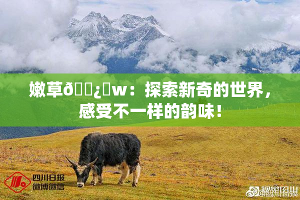 嫩草🌿‌w：探索新奇的世界，感受不一样的韵味！