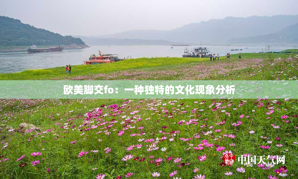 欧美脚交fo：一种独特的文化现象分析
