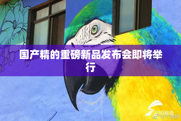 国产精的重磅新品发布会即将举行